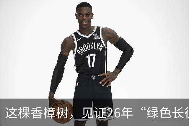 这棵香樟树，见证26年“绿色长征”